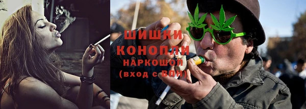 шишки Балабаново
