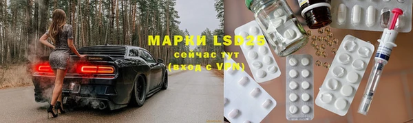 шишки Аркадак