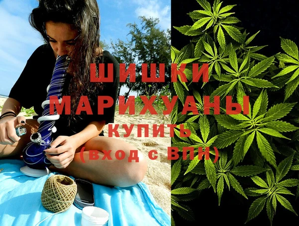 шишки Балабаново
